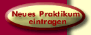 Praktikum eintragen