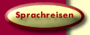 Sprachreisen