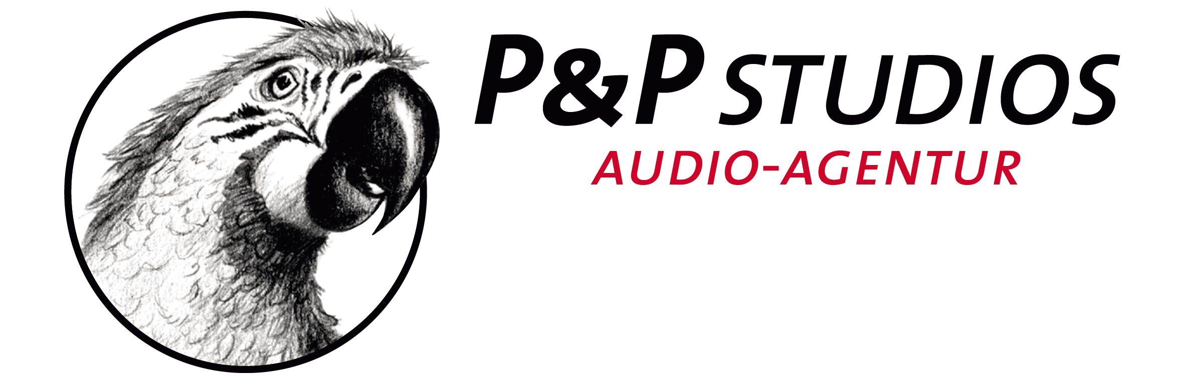 P&P Studios
