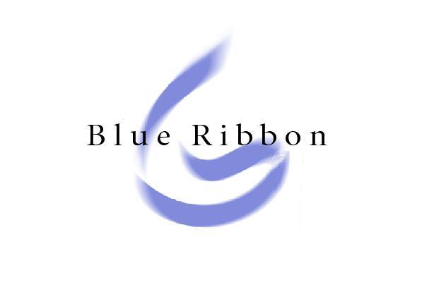 Blue Ribbon Partners GmbH